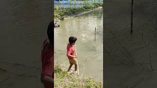 Fishing in the pond viralvideo fishing [upl. by Tocci]