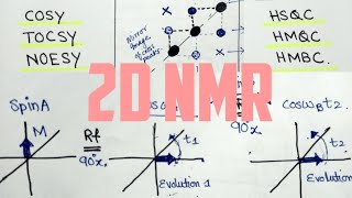 2DNMR WorkingCorrelation SpectroscopyCOSYNOESY MajidAli2020 [upl. by Ylro732]