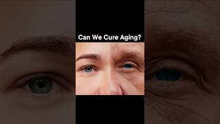 The Quest for Aging Cures [upl. by Stets]