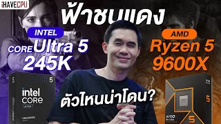 จับฟ้าชนแดง Intel Core Ultra 5 245K VS AMD Ryzen 5 9600X ตัวไหนน่าโดน  iHAVECPU [upl. by Mosnar31]