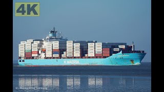 MAERSK BENGUELA  Shipspotting Germany 🇩🇪 IMO 9355367  River Elbe near City Otterndorf  4K VIDEO [upl. by Gnurt]