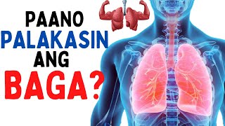 🫁 PAANO PALAKASIN ANG BAGA Mga Tips para maging healthy ang LUNGS at HINDI magkaSAKIT [upl. by Fran890]