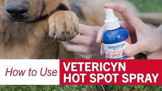 How to Use Vetericyn Antimicrobial Hot Spot Spray [upl. by Mandi]