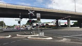 Cross Rd amp South Rd Level Crossing Clarence Gardens SA [upl. by Towland]