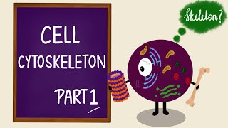 Cell Cytoskeleton  Part 1  Microtubules  Cilia  Cell Biology  Cell Physiology [upl. by Eniron422]