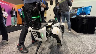 Boston Dynamics LiDAR Dog [upl. by Oiciruam]