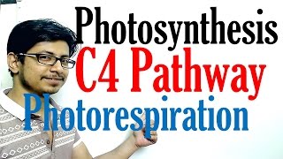 C4 pathway Photosynthesis and photorespiration [upl. by Eseenaj]