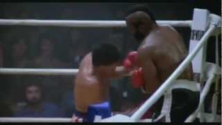 Rocky Balboa Best montage tribute HD  burning heart no easy way out [upl. by Yesdnik2]