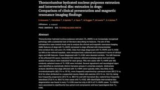 33 Thoracolumbar IVDD and HNPE Comparison [upl. by Kask550]