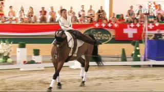 FEI European Vaulting Championship 2013  Junior Male 3rd Adam Lukac [upl. by Esilenna]