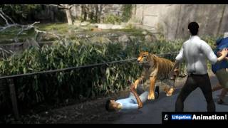 Forensic Animation Tiger Escape and Attack [upl. by Navad983]