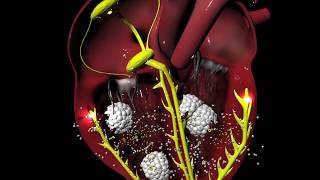 Digoxin for Arrhythmias irregular heartbeat [upl. by Dulcia]