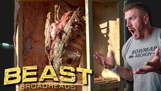 BEAST BROADHEAD REAL TEST on Hide Bone amp Organs in Mind Blowing SLOW MOTION [upl. by Sitoiganap]