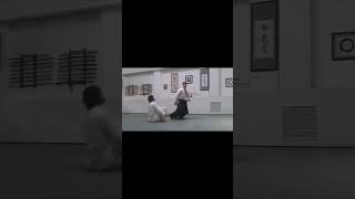 BASIC AIKIDO RANDORI 2 ukes [upl. by Diella758]