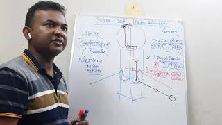 Spinal cord Hemisection in Bangla [upl. by Lisette]