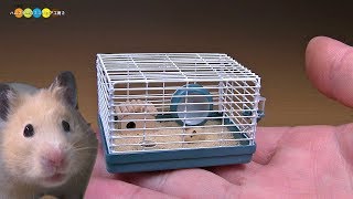 DIY Miniature Hamster cage ミニチュアハムスターケージ作り [upl. by Aneema246]