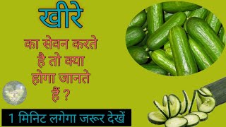 खीरे का सेवन करते है तो क्या होगा जाने  khira khane ke fayde  benefits of cucumber  shorts [upl. by Ardnoet]