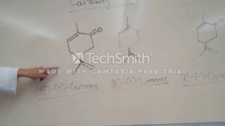 carvone limonene intro [upl. by Htnnek990]