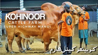 Cattle Farm Super Highway  Cow Mandi Karachi 2023  Cattle Market  Expedition Pakistan [upl. by Atinrehs]