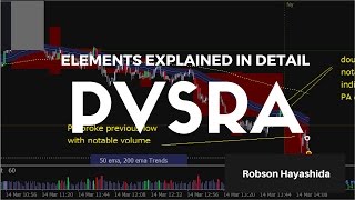 TRADING LIKE A TRADER PVSRA Elements Explained in Detail [upl. by Brier]