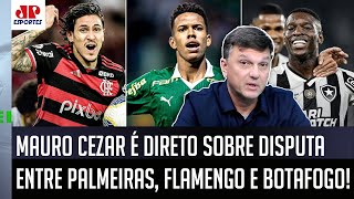 quotEU PENSO DIFERENTE Pra mim Palmeiras e Botafogoquot Mauro Cezar ANALISA DISPUTA com o Flamengo [upl. by Aserahs]