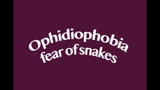 Friday Fears and Phobias OphidiophobiaThe fear of snakesHow hypnotherapy helps cure it [upl. by Gunning95]