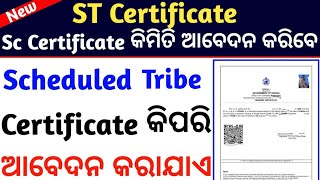 How to apply ST Caste Certificate In odisha  St caste certificate online apply Odisha [upl. by Anahcar]