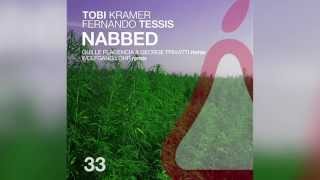 Tobi Kramer amp Fernando Tessis  Nabbed Wolfgang Lohr Remix 96kbps [upl. by Rabaj582]