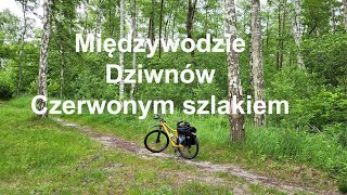 Międzywodzie  Dziwnów Czerwonym szlakiem przy wydmach Zachodniopomorskie Polska [upl. by Wilden668]