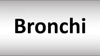 Respiratory Histology  What’s in your lung  Larynx Trachea Bronchi Bronchioles Alveoli [upl. by Flowers]