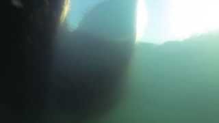 Underwater Bonavista Harbour Newfoundland Canada  GoPro First Test [upl. by Anasiul]