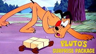 Plutos Surprise Package 1949 Disney Cartoon Short Film  Review [upl. by Etz]