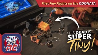 ArmattanCraftedKwads Odonata Custom Build Micro Quad  First Few Flights [upl. by Giraldo864]