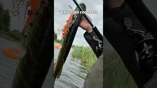 How to fishingvideo predator monsterhunter bassfishing lifestyle musky [upl. by Gerrilee]