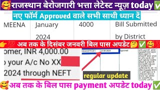 New Form Approved 2024Berojgari Bhatta Latest NewsPayment update Rajasthan✅ [upl. by Jung]