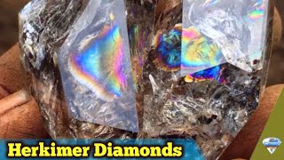 Digging Rainbow Herkimer Diamond Quartz Crystals  Paradise Falls New York [upl. by Haney]