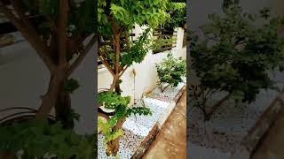 Coimbatore garden work [upl. by Anilahs]