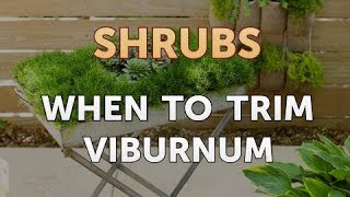 When to Trim Viburnum [upl. by Ofilia]