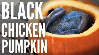 Cooking a Whole BLACK Silkie CHICKEN in a PUMPKIN  Chinese herbal soup [upl. by Seessel]