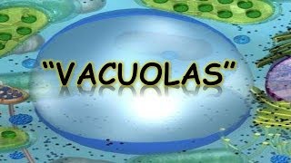 LAS VACUOLAS  BIOLOGÍA  MediCiencia [upl. by Zippel149]