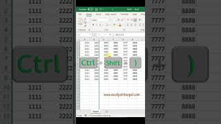 Column Hide amp Unhide using Shortcut Keyexcel youtubeshorts youtube [upl. by Wordoow174]