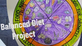 Balanced diet project  balanced diet model  project on balanced diet  Science project [upl. by Stedt]