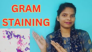 GRAM STAINING FULL DETAILS IN BENGALI  GRAM STAIN PROCEDURE gramstaining [upl. by Marmion379]