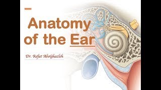 Anatomy of the Ear Full Lecture [upl. by Anah]