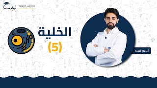 الخلية 5  الصف السابع  العلوم 🫀  أ ياسر السيد🥇 منصة لبيب التعليمية🎓 [upl. by Mhoj]