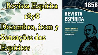 Sensações dos Espíritos  Dezembro item 5  Revista Espírita de 1858  Audiobok [upl. by Rosenblatt]