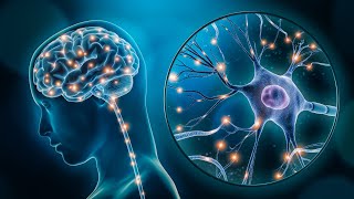 Inhibitory Role of GABA Neurotransmitter in Neuronal Communication 3 Minutes Microlearning [upl. by Velasco24]