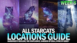 All Starcat Locations Guide  Week 6 Harbingers Seclude Confluence Gardens of Esila Destiny 2 [upl. by Christabel945]