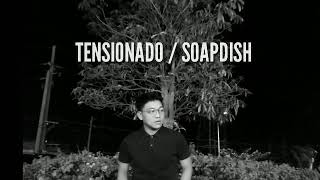 Tensionado  Soapdish  Acoustic Cover  Ejay V [upl. by Yznil149]