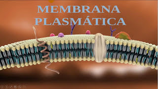 Membrana Plasmática  Estruturas Composição função e características  Membrana celular [upl. by Leissam]